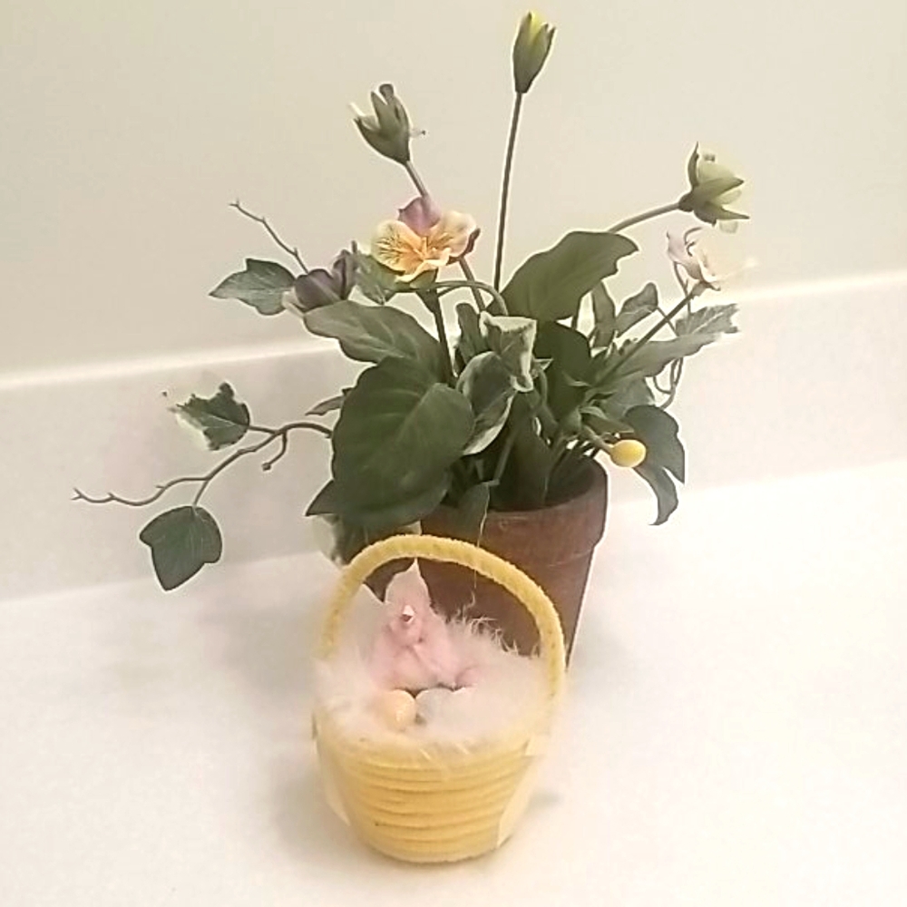 Baby Chick & Eggs in Easter Basket